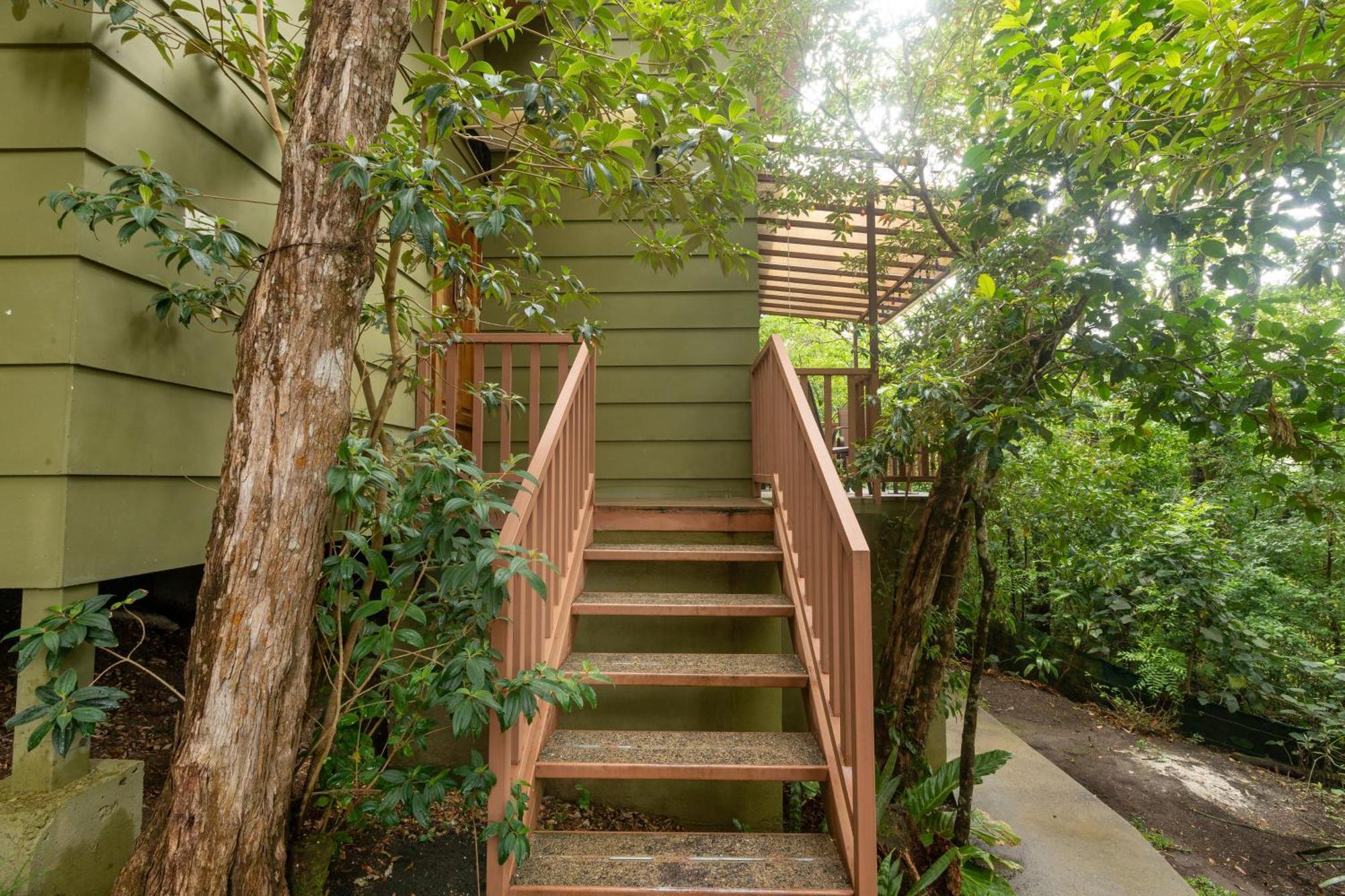 Casas Clusia Apartment Monteverde ภายนอก รูปภาพ